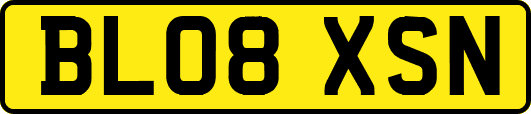 BL08XSN