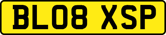 BL08XSP
