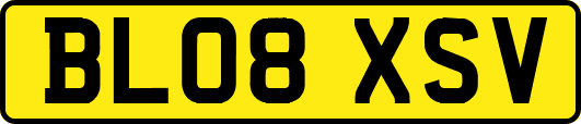 BL08XSV