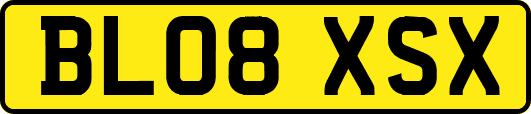 BL08XSX