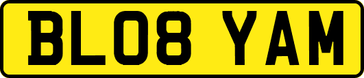 BL08YAM