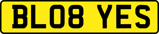BL08YES