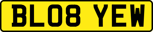 BL08YEW