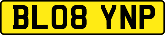 BL08YNP