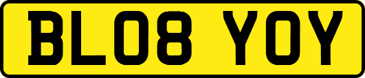 BL08YOY