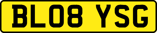 BL08YSG