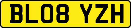 BL08YZH