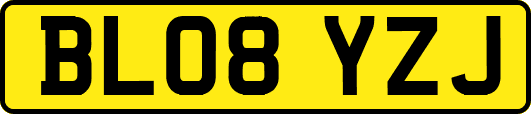 BL08YZJ
