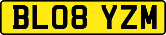 BL08YZM