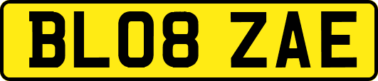 BL08ZAE