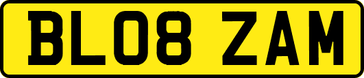 BL08ZAM