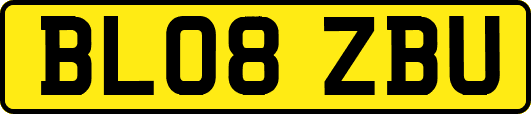 BL08ZBU