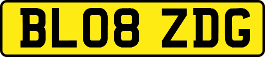 BL08ZDG