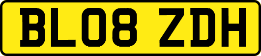 BL08ZDH