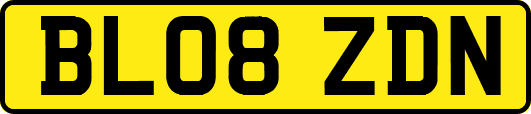BL08ZDN