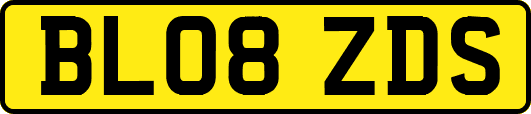 BL08ZDS