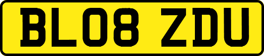 BL08ZDU