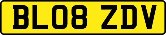 BL08ZDV