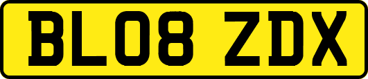 BL08ZDX