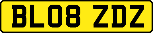 BL08ZDZ