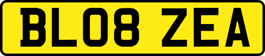 BL08ZEA