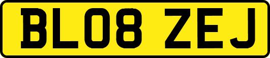 BL08ZEJ