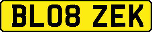 BL08ZEK