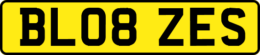 BL08ZES