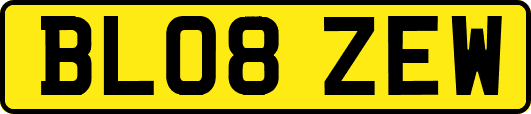 BL08ZEW