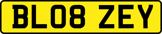 BL08ZEY