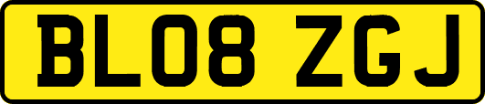 BL08ZGJ