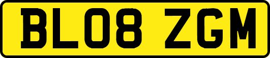 BL08ZGM