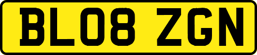 BL08ZGN