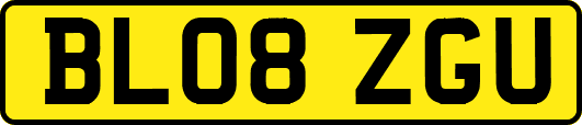 BL08ZGU
