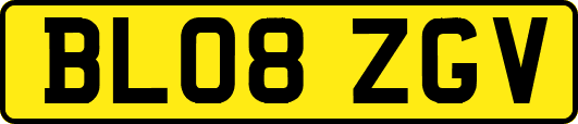 BL08ZGV
