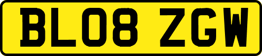 BL08ZGW