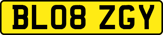 BL08ZGY