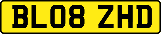 BL08ZHD