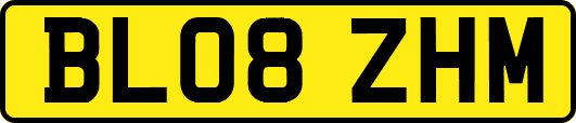 BL08ZHM