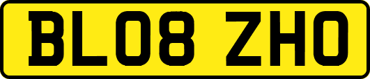 BL08ZHO