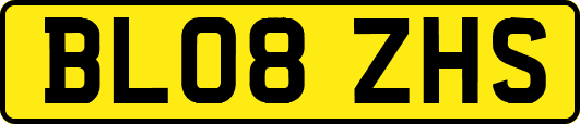 BL08ZHS