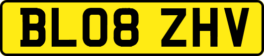 BL08ZHV