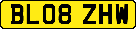 BL08ZHW