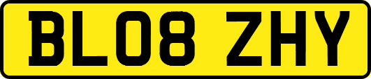 BL08ZHY