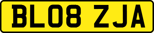 BL08ZJA