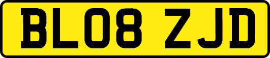BL08ZJD