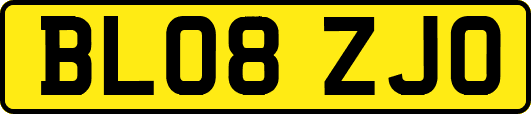 BL08ZJO