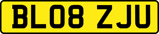 BL08ZJU