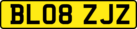 BL08ZJZ