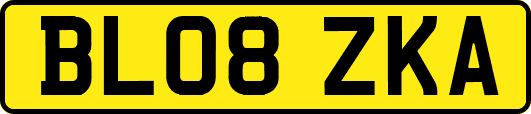 BL08ZKA